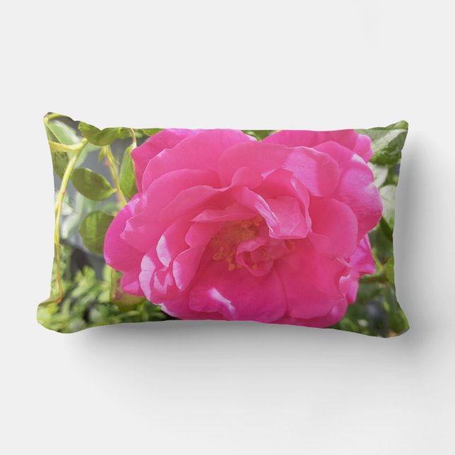 Pink Rose Lumbar Pillow (Front)