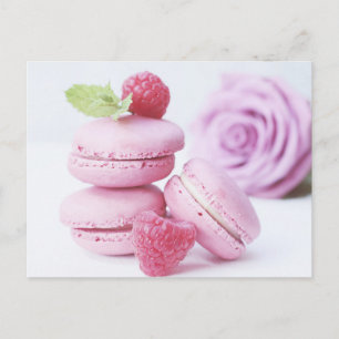 Pink Rose Macarons Postcard
