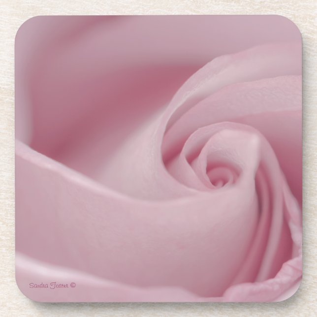 Pink Rose Macro Coaster (Front)