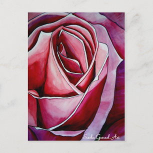Pink Rose macro flower Postcard
