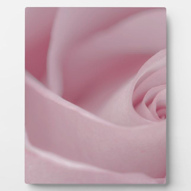 Pink Rose Macro Plaque (Front)