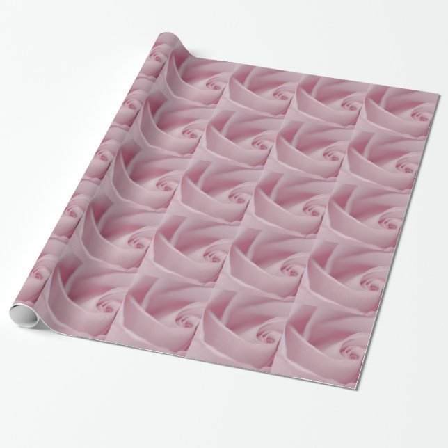 Pink Rose Macro Wrapping Paper (Unrolled)