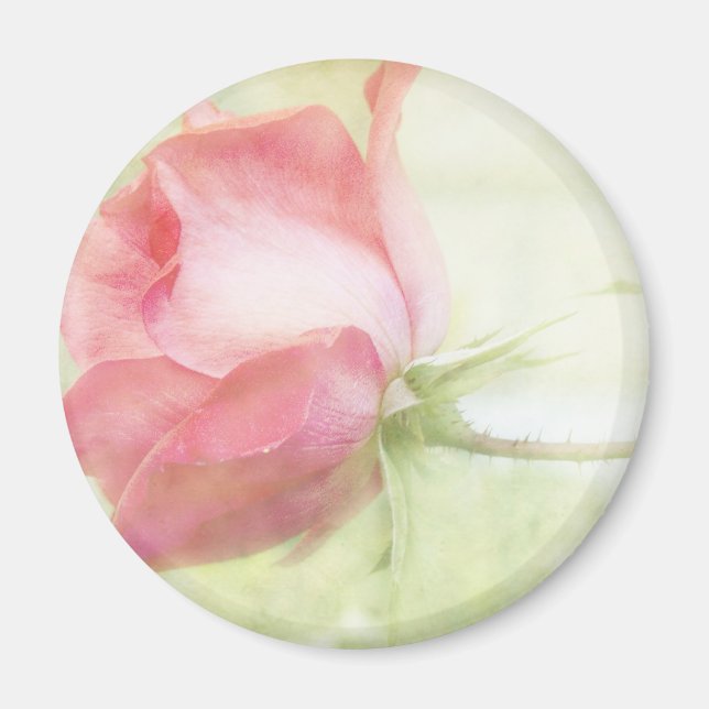 Pink Rose Magnet (Front)