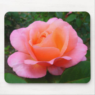Pink Rose Mouse Pad