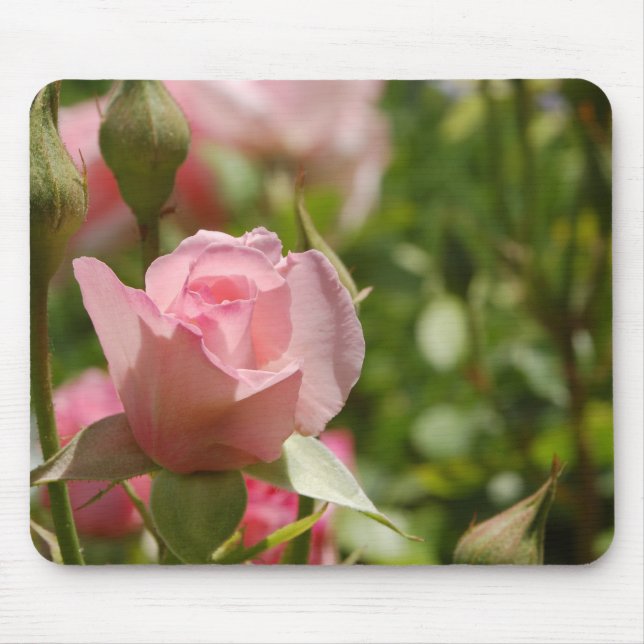 Pink Rose Mouse Pad (Front)