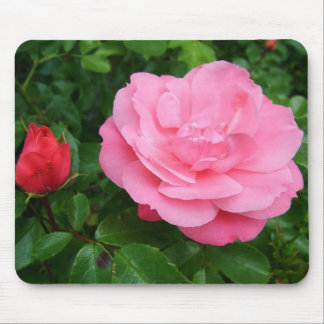 pink rose mouse pad