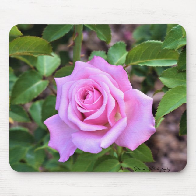 Pink Rose Mouse Pad (Front)