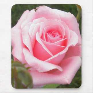 Pink Rose Mouse pad