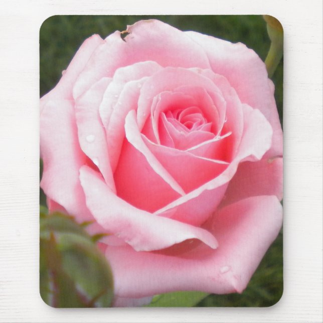 Pink Rose Mouse pad (Front)