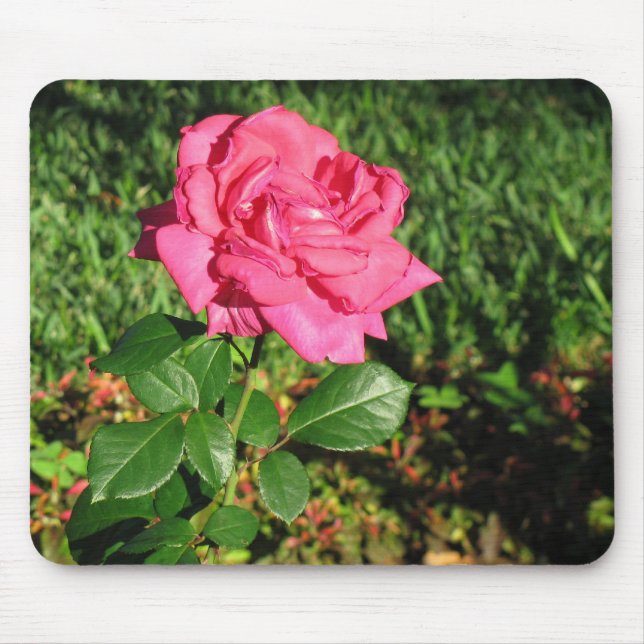Pink Rose mousepad (Front)
