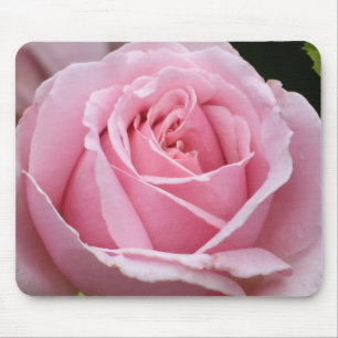 Pink Rose Mousepad
