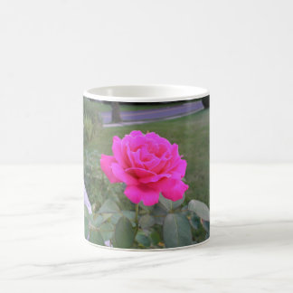 Pink Rose Mug