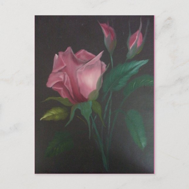 Pink Rose n Buds Postcard (Front)
