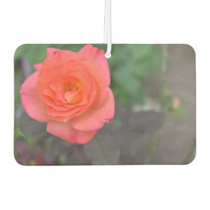 Pink Rose Nature Photography Flower Floral Garden Air Freshener