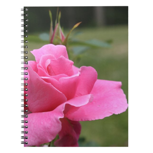 Pink rose notebook (Front)