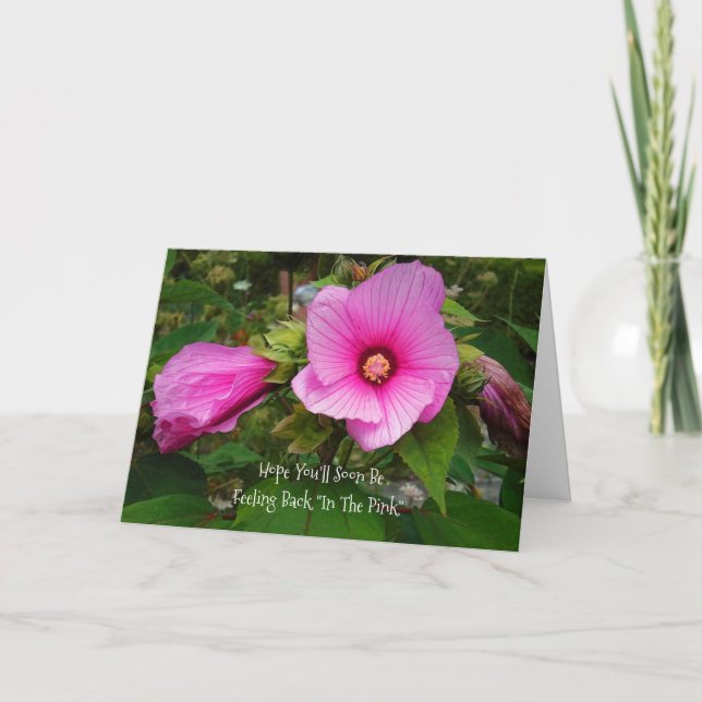 PINK ROSE OF SHARON/WISHING YOU A SPEEDY RECOVERY CARD (Front)