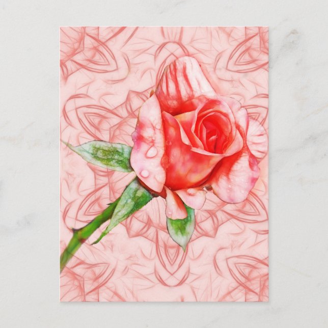 Pink rose on elegant kaleidoscope postcard (Front)
