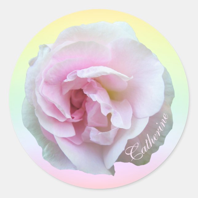 Pink Rose on Pastel Personalized Classic Round Sticker (Front)