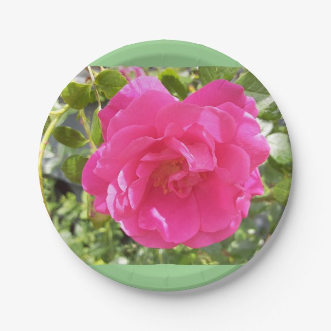 Pink Rose Paper Plate (Front)