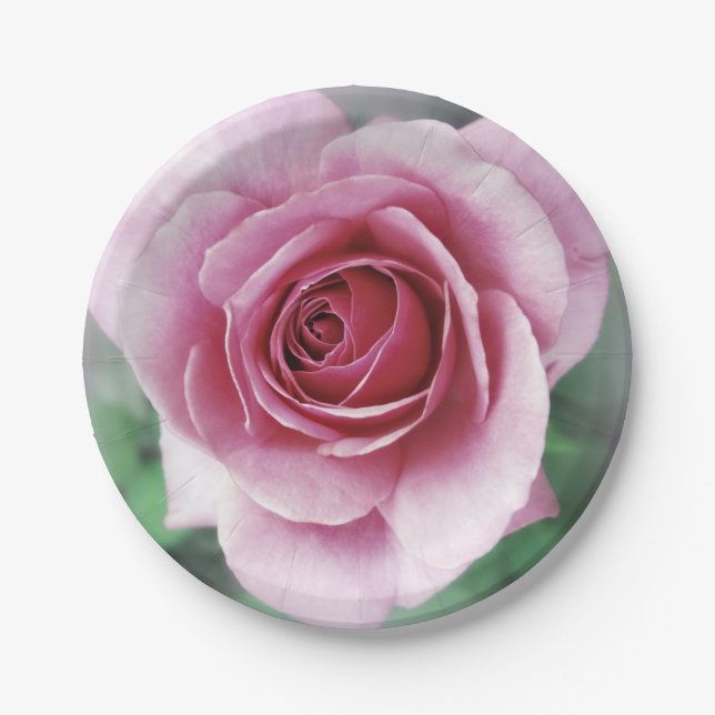 Pink rose paper plate (Front)