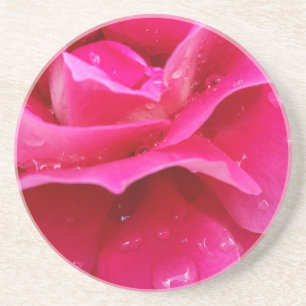 pink rose petals coaster