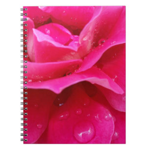 pink rose petals notebook