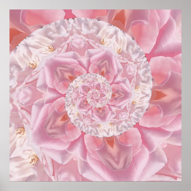  Pink Rose Petals Spiral of Love Digital Artwork Poster (Front)