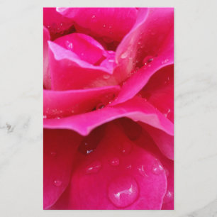 pink rose petals stationery