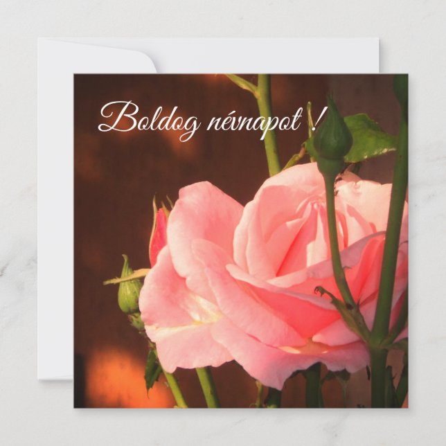 Pink rose photo  - Hungarian name day (Front)