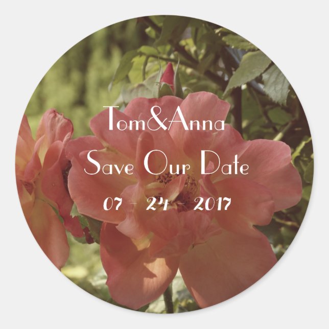 Pink Rose photography Save the date Sticker (Front)