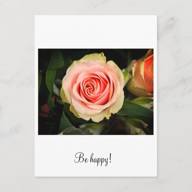 Pink rose postcard (Front)