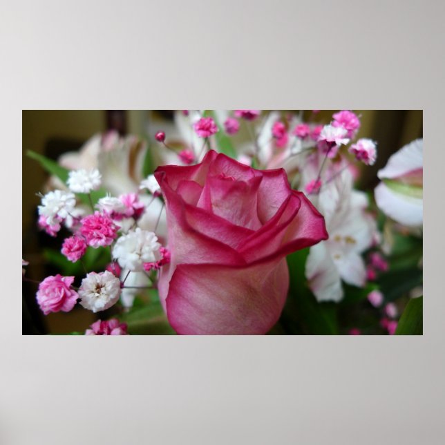 Pink Rose Poster (Front)