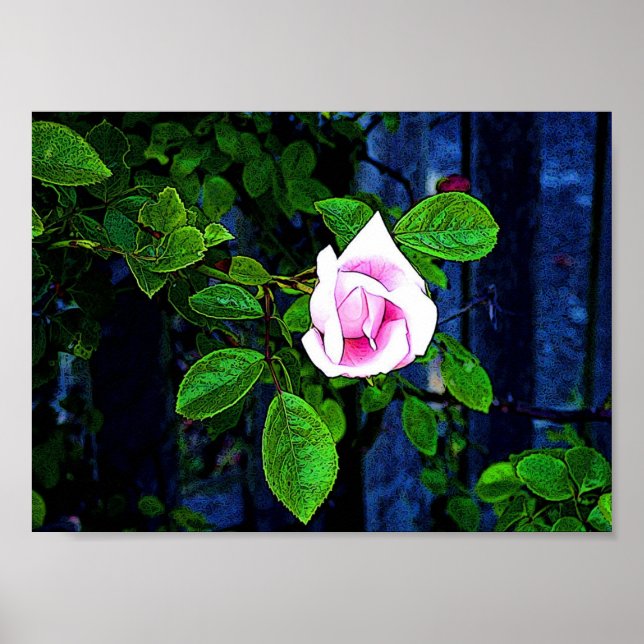 Pink Rose Poster (Front)