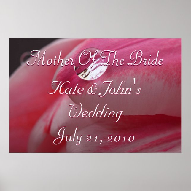 Pink Rose Poster (Front)