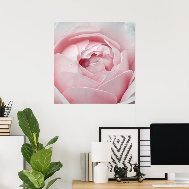 Pink Rose Poster (Home Office)