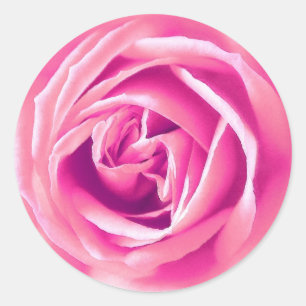 Pink rose print classic round sticker
