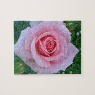 Pink Rose Puzzle