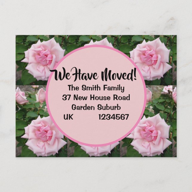 Pink Rose Rose New Address Postcard, We Are Moving Postcard (Front)