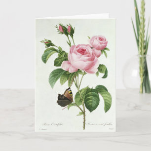 Pink Rose Rose Pierre-Joseph Redoute Carte de voeu