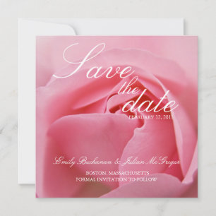 Pink Rose • Save the Date Announcement