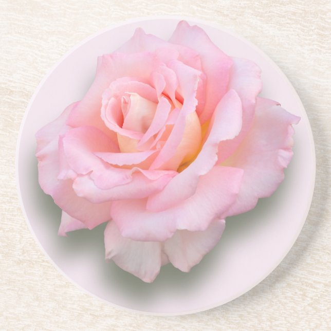 Pink Rose 'Scentsation' Coaster (Front)