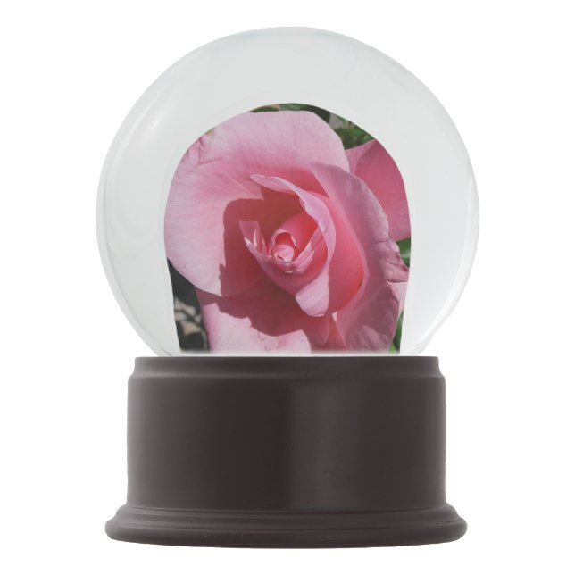 Pink Rose Snow Globe (Front)