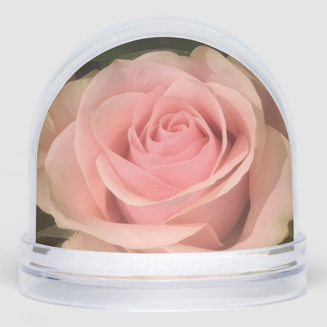 Pink Rose Snow Globe (Front)