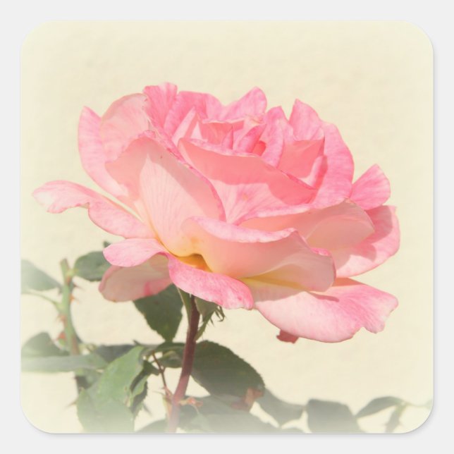 Pink Rose Sticker (Front)