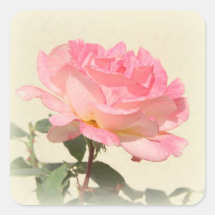 Pink Rose Sticker