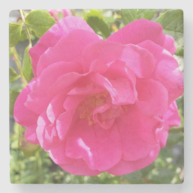 Pink Rose Stone Coaster (Front)