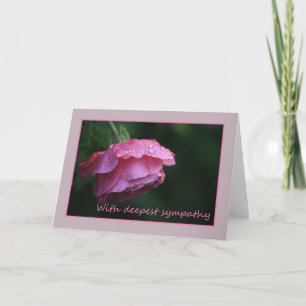 pink rose sympathy card