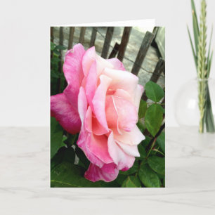 Pink Rose Thank You Card