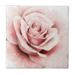 Pink Rose Tile<br><div class="desc">Pink Rose I by Grace Popp. Features an up-close rose in a beautiful muted palette.</div>