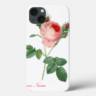 Pink rose vintage botanical illustration iPhone 13 case